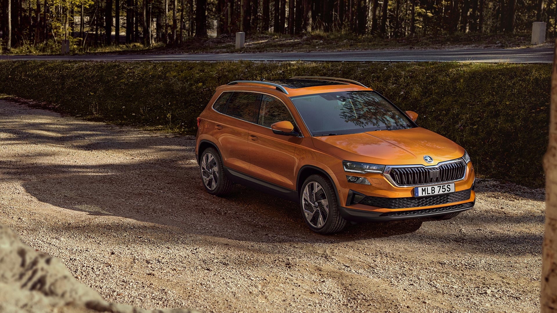 Orange Bil SKODA Karoq I Skogen